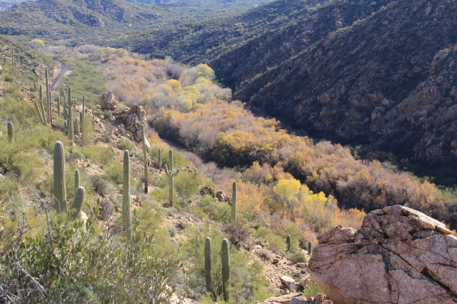 AZ Trail Kelvin 033