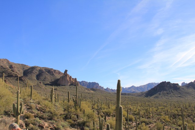 Bluff Springs Trail 029