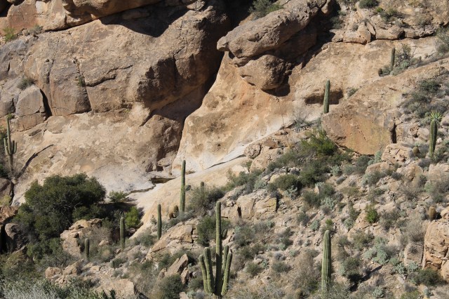 Bluff Springs Trail 102