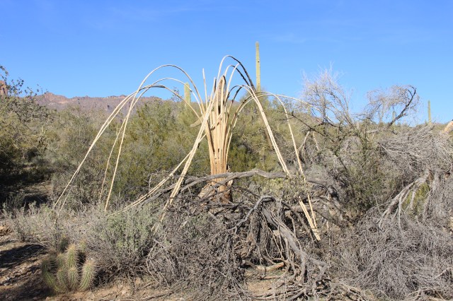 Bluff Springs Trail 134