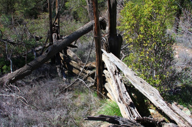 Haunted Cabin 066