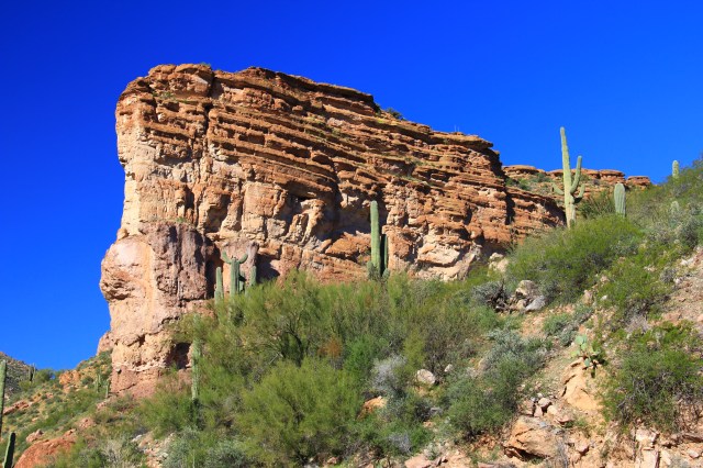 White Canyon Wilderness 054