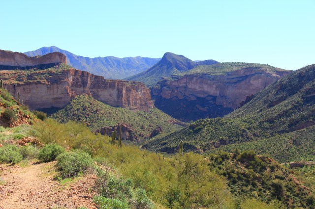 White Canyon Wilderness 107