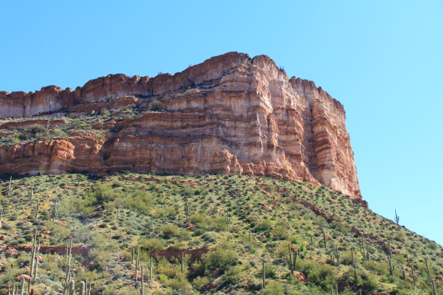 White Canyon Wilderness 113