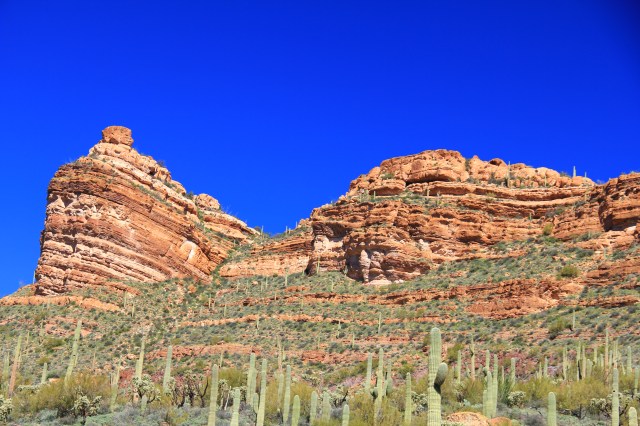 White Canyon Wilderness 123