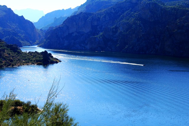 Saguaro Lake5