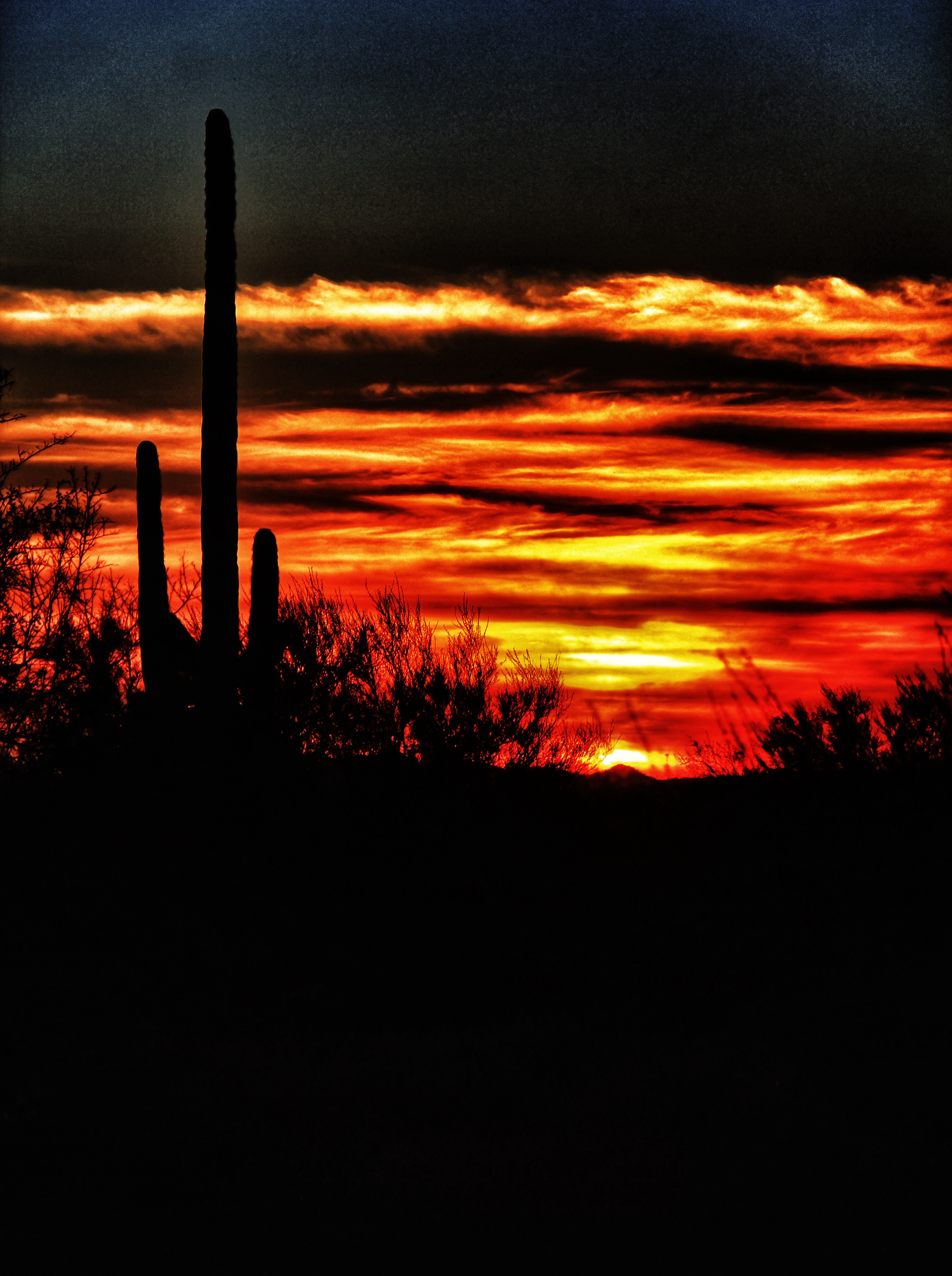 Sunset from Lost Dutchman park.