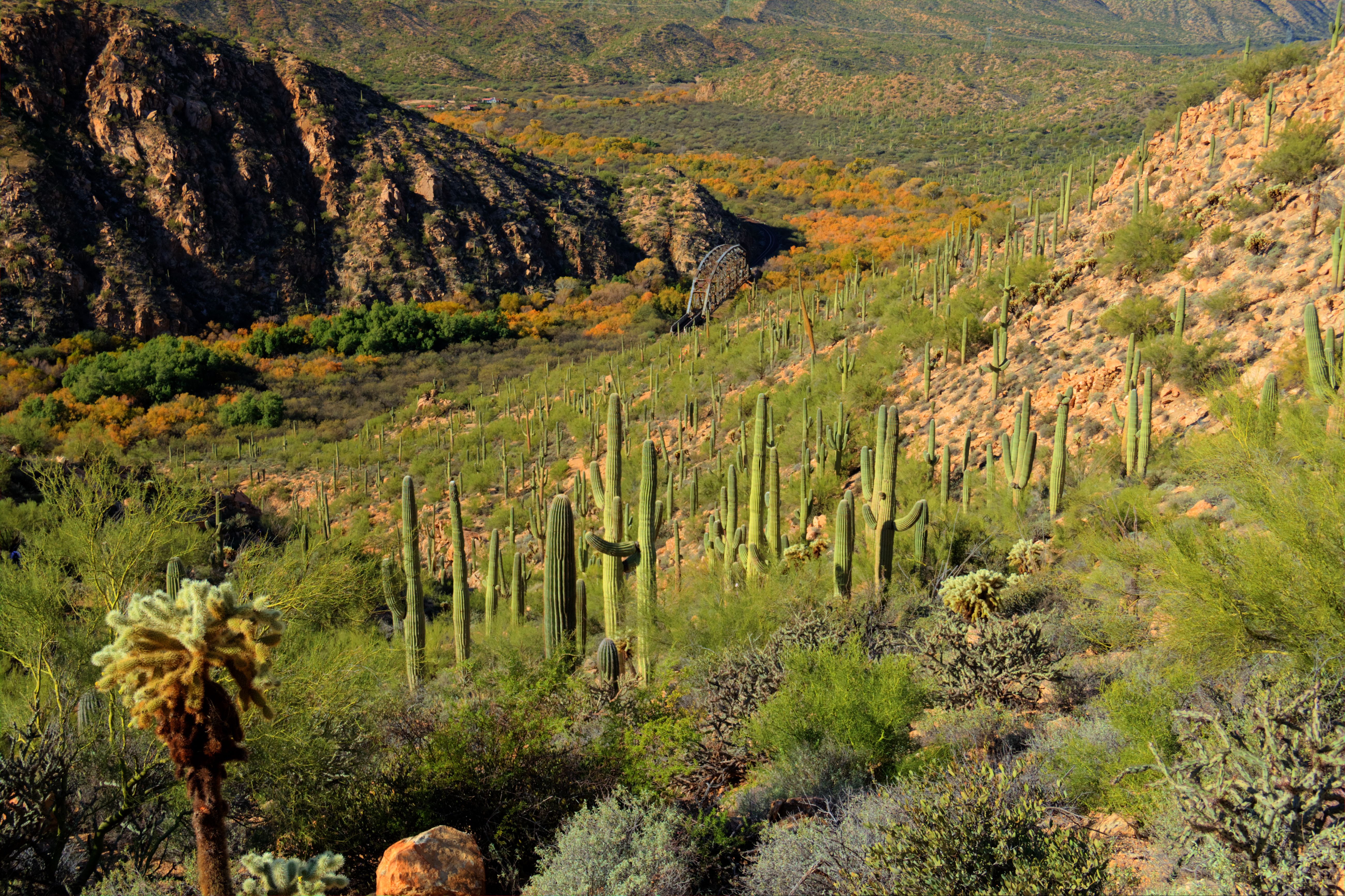 Gila Canyon distant bridge