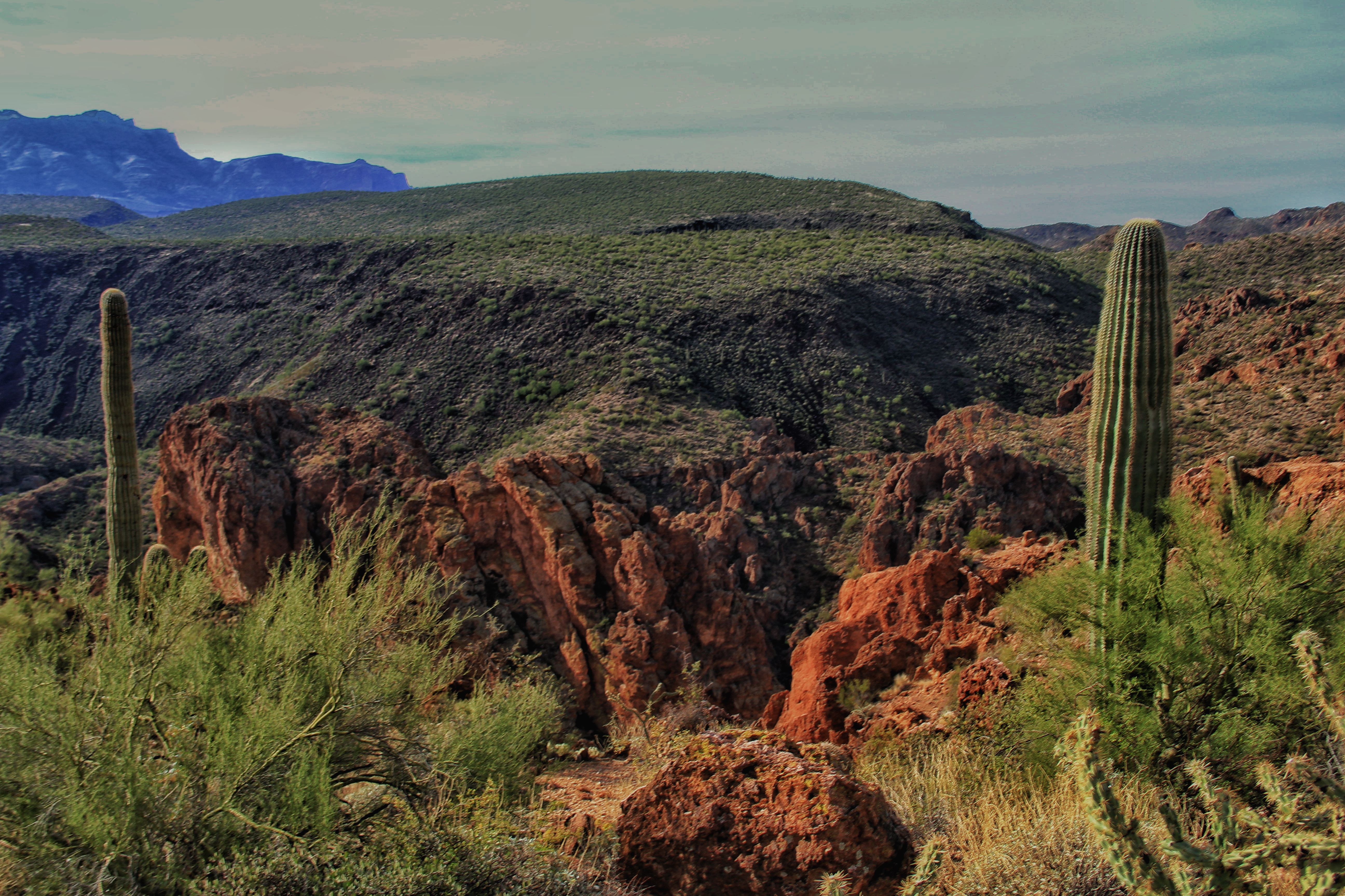Looking SW towards Flatiron